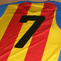 Equipaciones deportivas marcadas con números en vinilo textil